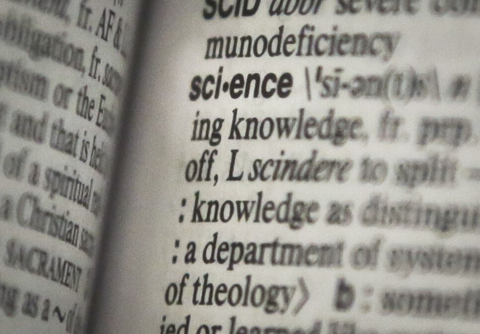 2013: science